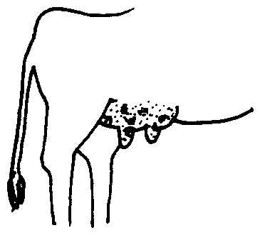 Image undefined