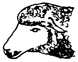 Image undefined