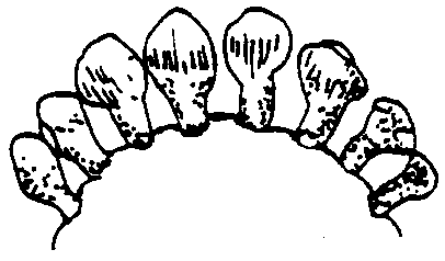 Image undefined