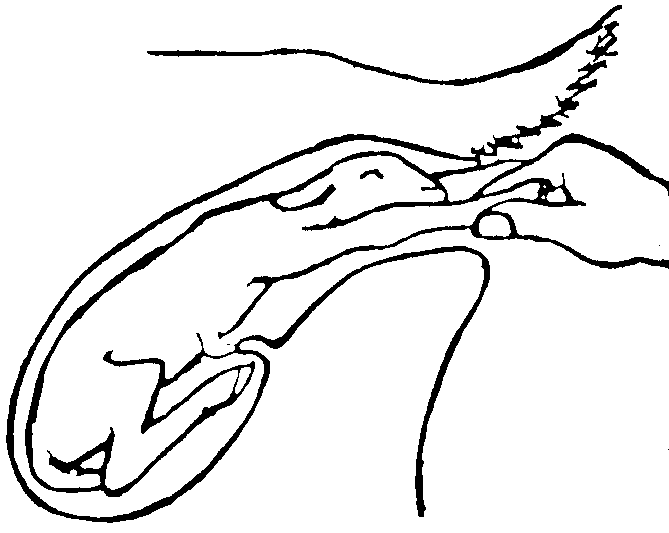 Image undefined