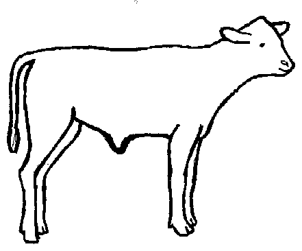 Image undefined