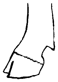 Image undefined