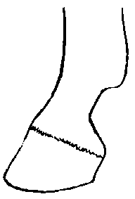 Image undefined