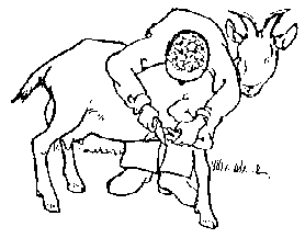 Image undefined