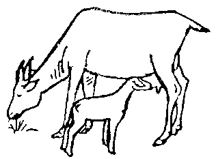 Image undefined