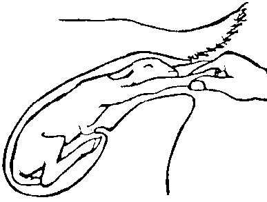 Image undefined