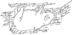 Image undefined