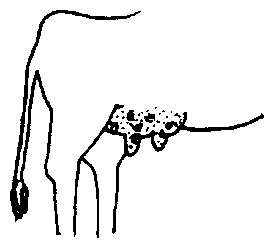 Image undefined