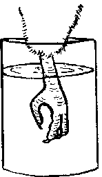 Image undefined