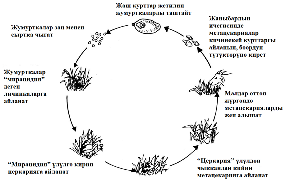Image undefined