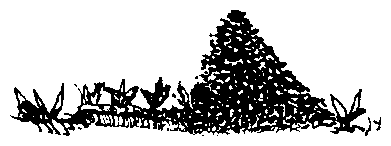 Image undefined