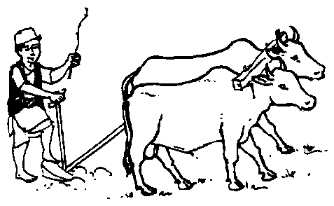 Image undefined