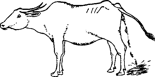 Image undefined