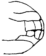 Image undefined