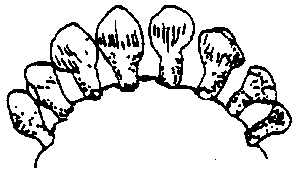 Image undefined