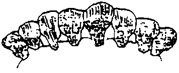 Image undefined
