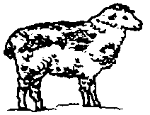 Image undefined