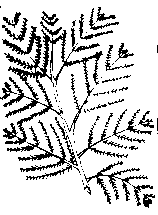 Image undefined