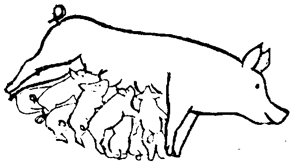 Image undefined