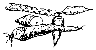Image undefined