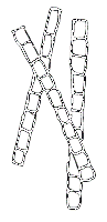 Image undefined