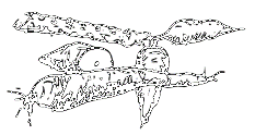 Image undefined