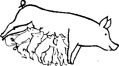 Image undefined