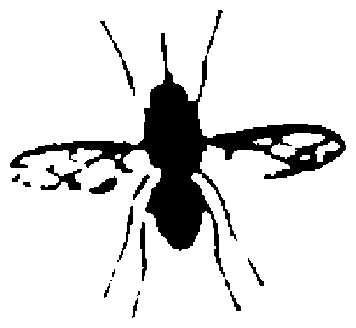 Image undefined