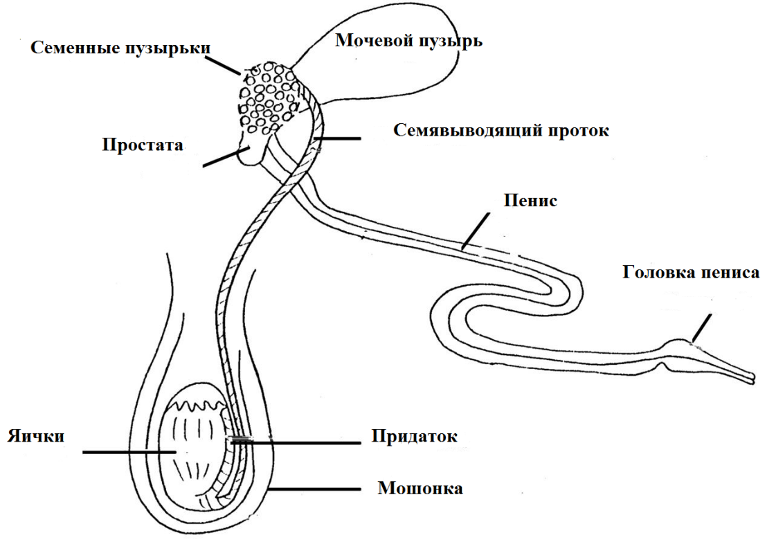 Image undefined