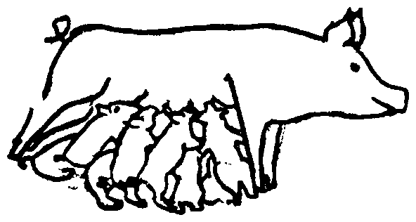 Image undefined