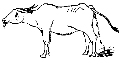 Image undefined