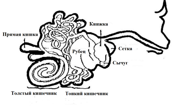 Image undefined