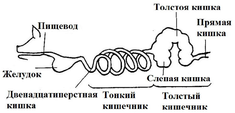 Image undefined
