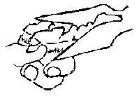 Image undefined