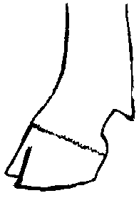 Image undefined
