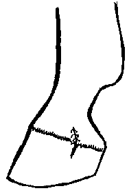 Image undefined