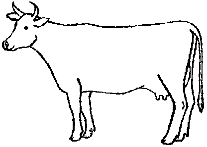Image undefined