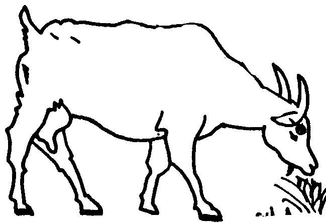 Image undefined