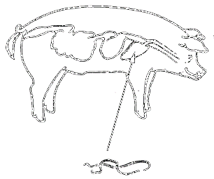 Image undefined